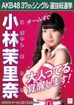 6th Senbatsu Election (2014)