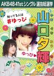 7th Senbatsu Election (2015)