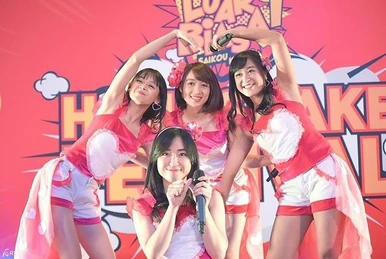 No Sleeves 15th Anniversary Live ~ Nice to See You ~ | AKB48 Wiki