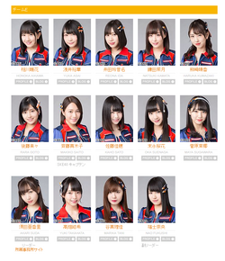 SKE チームE探します Team E | AKB48 Wiki | Fandom