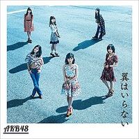 AKB48TsubasawaIranaiRegC