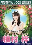 8th Senbatsu Election (2016)