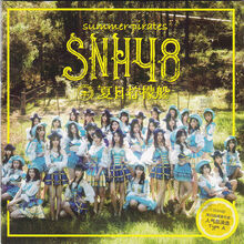 SNH4816thAlternativeA