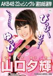 3rd Senbatsu Election (2011)