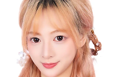 タレントカード Littlepeachypupu Pet Shop LPS Dachshund 932 Pink Star Eyes with lps Jacket