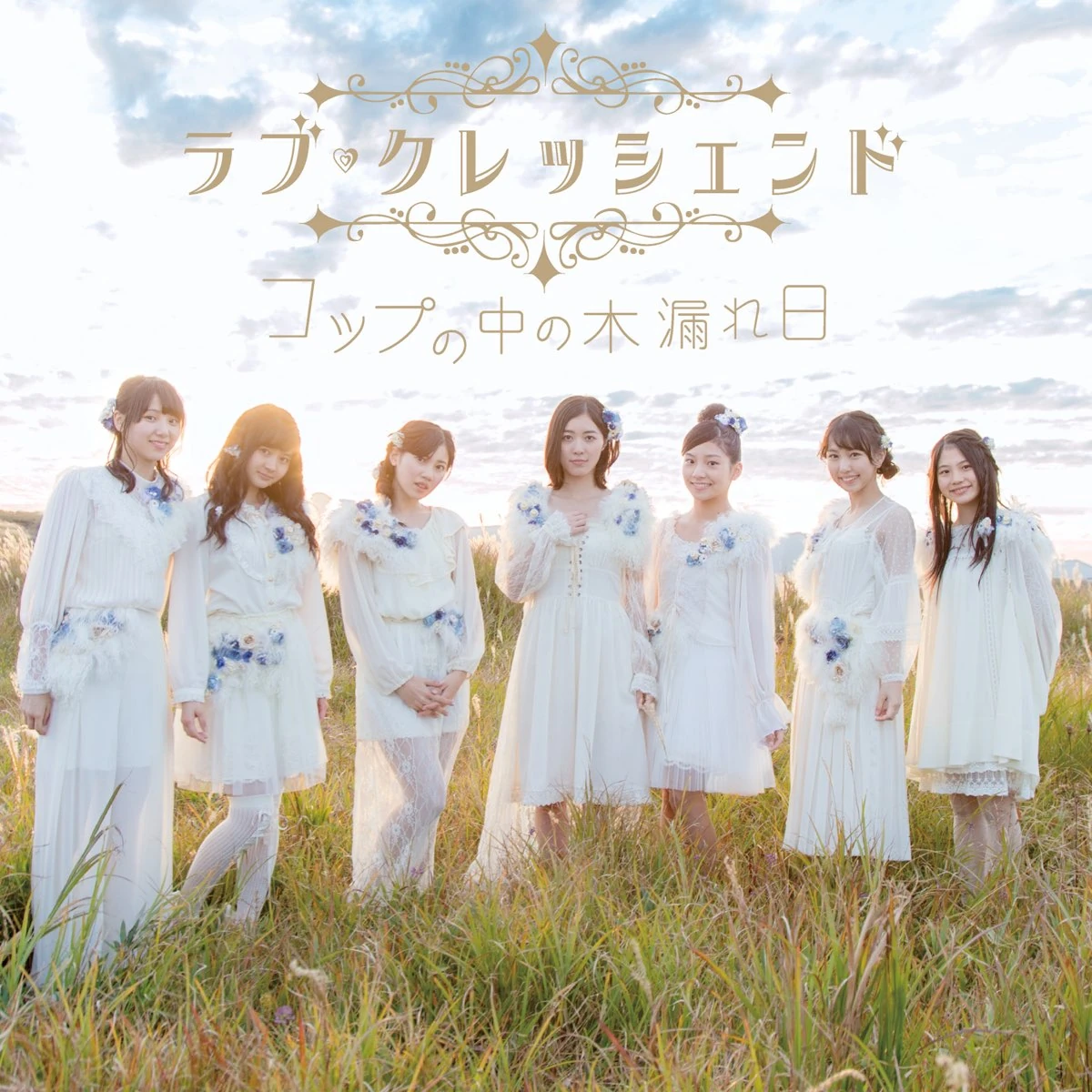 Koppu no Naka no Komorebi (Song) | AKB48 Wiki | Fandom