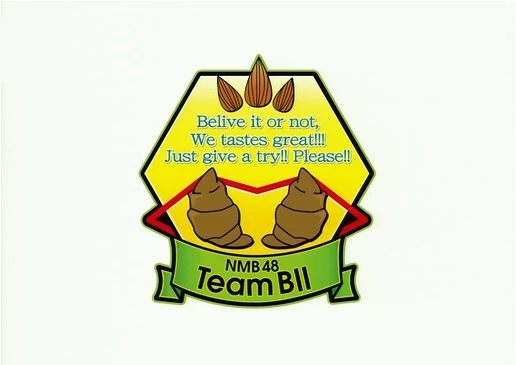Team BII | AKB48 Wiki | Fandom