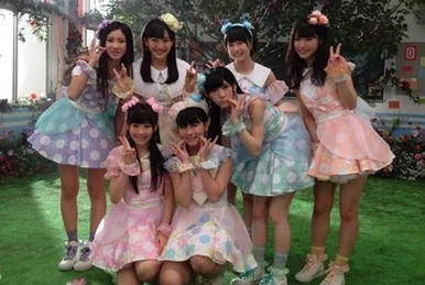 ノースリーブス15th Anniversary Live ノースリーブス 15th Anniversary Live DVD