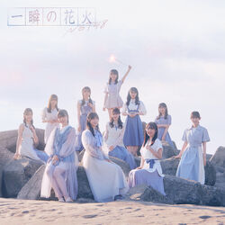 NGT48、AKB48 生写真 約３００枚、他 NGT48 | AKB48 Wiki | Fandom