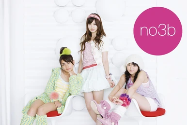 No Sleeves 15th Anniversary Live ~ Nice to See You ~ | AKB48 Wiki