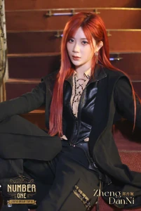 Zheng DanNi