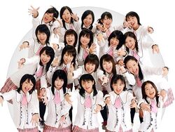 Sakuranoha.jpg