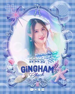 Gingham Check | AKB48 Wiki | Fandom