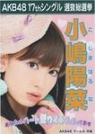 2nd Senbatsu Election (2010)