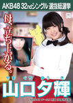 5th Senbatsu Election (2013)