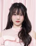Colorcon Wink (2025)
