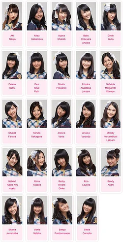 History Team J Akb48 Wiki Fandom