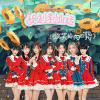 SNH4822thCoverSHY48