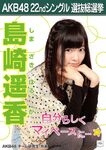 3rd Senbatsu Election (2011)