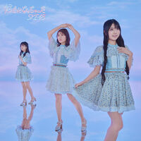 SKE4831RC