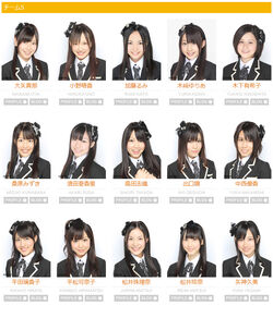 SKE48 Team S.jpg