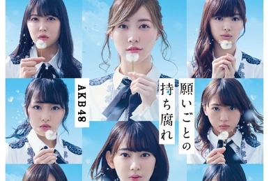 No Sleeves 15th Anniversary Live ~ Nice to See You ~ | AKB48 Wiki