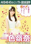 8th Senbatsu Election (2016)