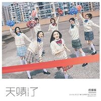 SNH4827thSupportCover