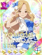 Tomochin Galaxy Cinderella of Gingham Check.