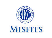 Logo2