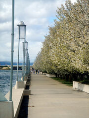 Walkway by the Water