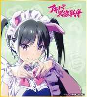 Follow & RT Campaign Shikishi Board