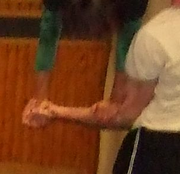 Handstand auf dem Unterarm.png