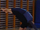 Abstellen in den Handstand.png