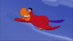 Abu, Aladdin Wiki