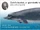 Bairds-Beaked-Whale-Stamp2.jpg