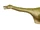Cryptocleidus BW 5d56.jpg