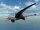 Eudimorphodon NT small.jpg