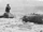 Beaked-Whale-Santa-Cruz-1920-Andrew-P.-Hill-Jr-via-Calisphere-large.jpg