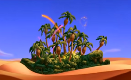The Oasis