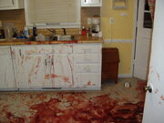 Ketchup everywhere