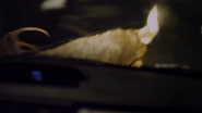 Jake hitting the deer with his car.
