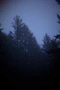 Dusk woods Bright Falls.jpg (301 KB)