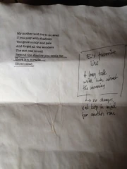 One of Thomas Zane's poems.