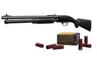 Shotgun2.jpg