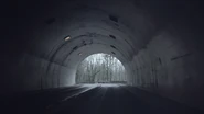 Jake enters a tunnel.
