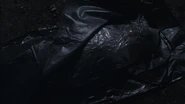 Body bag.png (936 KB) The body bag.