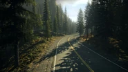 108710 screenshots 2015-09-18 00032.jpg (1,13 MB) Droga przez las, prowadząca do miasteczka