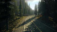 Forest road leading to the town of Bright Falls.