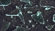 Shattered glasses on the road.